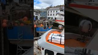 Discover Mevagissey A Fishing Villages Rich History cornwall shorts history [upl. by Nerw]