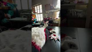 FurryMascot™ Furry Fursuit Costumes furry fursuit costumes wolf cat puppy dog fox [upl. by Kcod295]