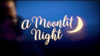 A Moonlit Night 2019 Thousand Islands Playhouse Fundraiser [upl. by Nightingale]