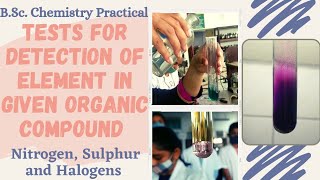 Detection of Nitrogen by Lassaignes Solution  Class 12 Chemistry Detection of Elements [upl. by Nahttam566]