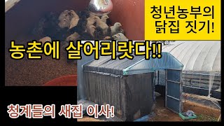 시골에선 필수죠 닭장 만들기 청계들의 보금자리 공개합니다 [upl. by Lrub]