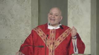 Homily of Father Carlos Martins  St Jude Thaddeus [upl. by Anohsal]