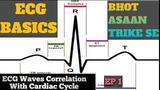 ECG basics in hindi  ECG interpretation Made Easy How to read ECG in hindi  EP 1 [upl. by Hsihsa]