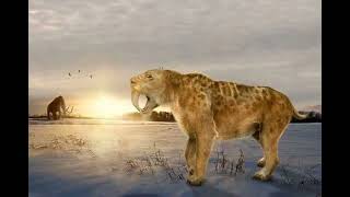 Smilodon Efeito Sonoro Vida Real [upl. by Anidam]