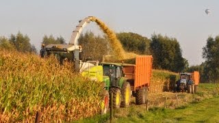 Loonwerk Van Holderbeke  Claas Jaguar 900 Speedstar [upl. by Ahserb587]