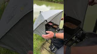 The Bait Shelter ⚫️🟡 back in stock 🎉🎉🎉 feederfishing fishingmethod carpfishing nufish [upl. by Beverle]