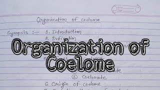 Organization And Definition of Coelome Tyeps Evolution theories msc2021 mscnotes [upl. by Eelyram91]