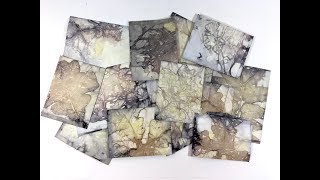 How To Make Eco Prints or Boiled Book Pages [upl. by Liatris557]