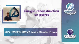 Cirugía Reconstructiva En Perros  MVZ EMCPG MMVZ Jesús Méndez Flores [upl. by Lacombe260]