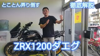 ZRX1200ダエグ、徹底的に弄り倒す！大人の遊びバイク！ZRXKAWASAKI [upl. by Yankee]