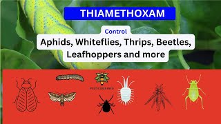 Exploring Thiamethoxam Uses Mode of Action and Environmental Considerations [upl. by Va]