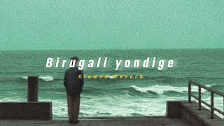 Birugali Yondige  Slowed  Reverb   Soul Vibez [upl. by Ielhsa]