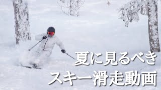 【夏こそスキー動画をみよう】夏の暑さを吹き飛ばせ！スキー滑走シーンをまとめてみた！ [upl. by Hoffert]