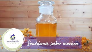 Sanddornöl selber machen [upl. by Ahseram]