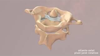 Atlantoaxial Joint Movement [upl. by O'Conner]