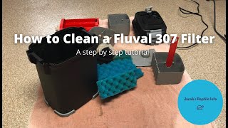 How to Clean a Fluval Canister Filter [upl. by Annoed]