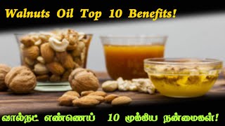 💥Walnuts oil  Top 10 benefits  benefits of walnuts oil  benefits  tamil [upl. by Avika]