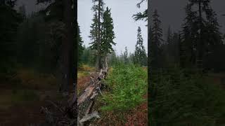 Early autumn snow on PCT near Lake Valhalla [upl. by Gladdie798]