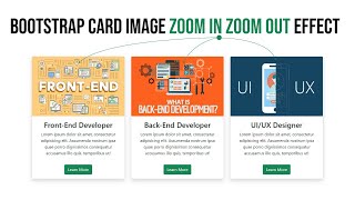 Bootstrap Card Image Zoom in Zoom out Effect [upl. by Dlonra797]