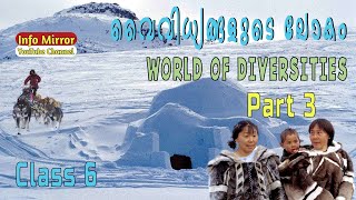 World of Diversities  Social  Class6  Malayalam Explanation  Part 3  Info Mirror [upl. by Bonilla96]