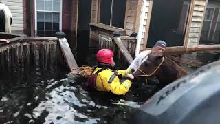 Horse rescue in Burgaw NC Hurricane Florence September 18 2018 [upl. by Josey285]