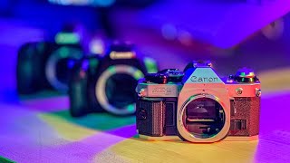 New Canon Cameras in 2019 [upl. by Cut]