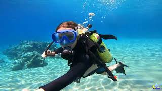 Elise Scuba Diving At The Dolphin Reef Eilat Israel [upl. by Neelloc]