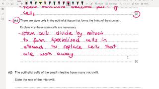 Animal Nutrition Paper 4 Questions Biology 6100970 [upl. by Notfa]