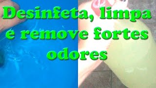 DESINFETANTE CASEIRO PARA REMOVER FORTES ODORES DE CASA [upl. by Miof Mela]