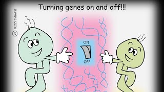 Class 28 What are OPERONS Introduction to Operons [upl. by Ynamrej]