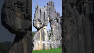 The Stone Forest [upl. by Neelram]