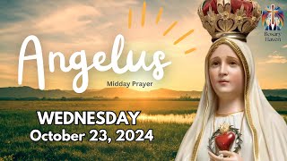 🙏 The Angelus Prayer for Today  Wednesday October 23 2024  Midday Prayer 🌼 [upl. by Busch]