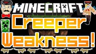 Minecraft CREEPERS Fear OCELOTS  Creeper Weakness  Scared of Cats [upl. by Anewor]