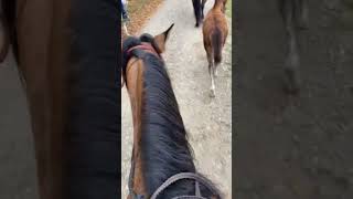 Today’s ride☺️🐴 [upl. by Cristine132]