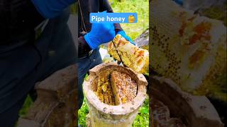 Extreme Honeycomb harvesting 🍯 Harvesting honey from beehive 🐝 EP92 shorts trending satisfying [upl. by Nel]