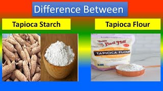 Difference between Tapioca Starch and Tapioca and Flour [upl. by Anelagna15]