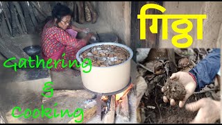 गिठ्ठा डाडाँ देखी भाडाँ सम्मकाे यात्रा  Gittha primitive food GatheringampCookingHow to cook Gittha [upl. by Aural67]