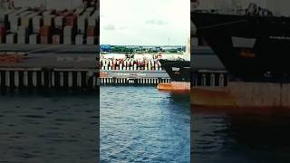 Container ship terminalnavyshipcontainershipcontainerseaviralvideoseafarertrendingfypyt [upl. by Idolah]