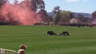 Australian infantry section attack demonstration [upl. by Yeloc980]