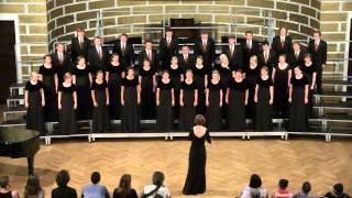 Eatnemen Vuelie  Rockford Touring Choir [upl. by Iasi]