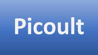 How to Pronounce Picoult [upl. by Butch809]