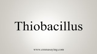 How To Say Thiobacillus [upl. by Leamse]