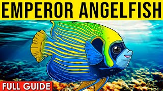 How To Care For An Emperor Angelfish  All About The Emperor Angelfish [upl. by Nyraa]