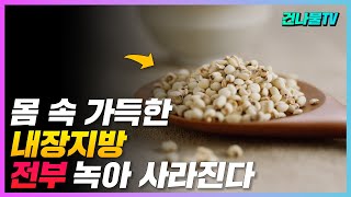 잘 먹으면서 가득 쌓인 내장지방 뺄 수 있는 방법 알려 드릴게요복부지방뱃살빼기 [upl. by Llednol]