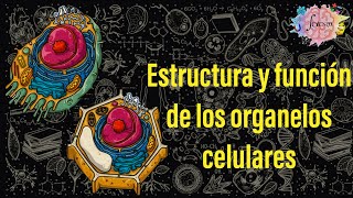 Estructura y función de los organelos celulares [upl. by Welby]