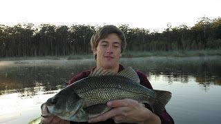 50cm BASS ON A SURFACE FROG Ewen Maddock dam  LUREPRODUCTIONS [upl. by Cornelie526]