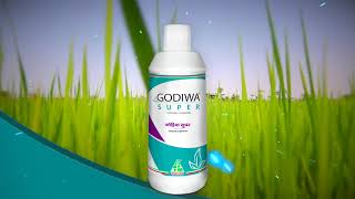 Dhanuka Godiwa Super  Fungicide Telugu [upl. by Immot]