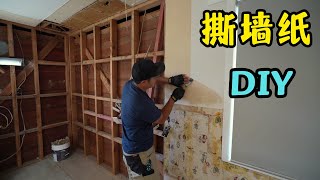 【4k】DIY 怎样撕除旧房墙上的墙纸？ [upl. by Arvid]