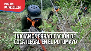 Iniciamos erradicación de coca ilegal en el Putumayo [upl. by Codel]