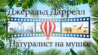 Джеральд Даррелл  Натуралист на мушке [upl. by Enilesoj]